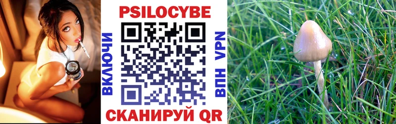 Галлюциногенные грибы мицелий Лесной